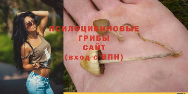 дурь Алексеевка